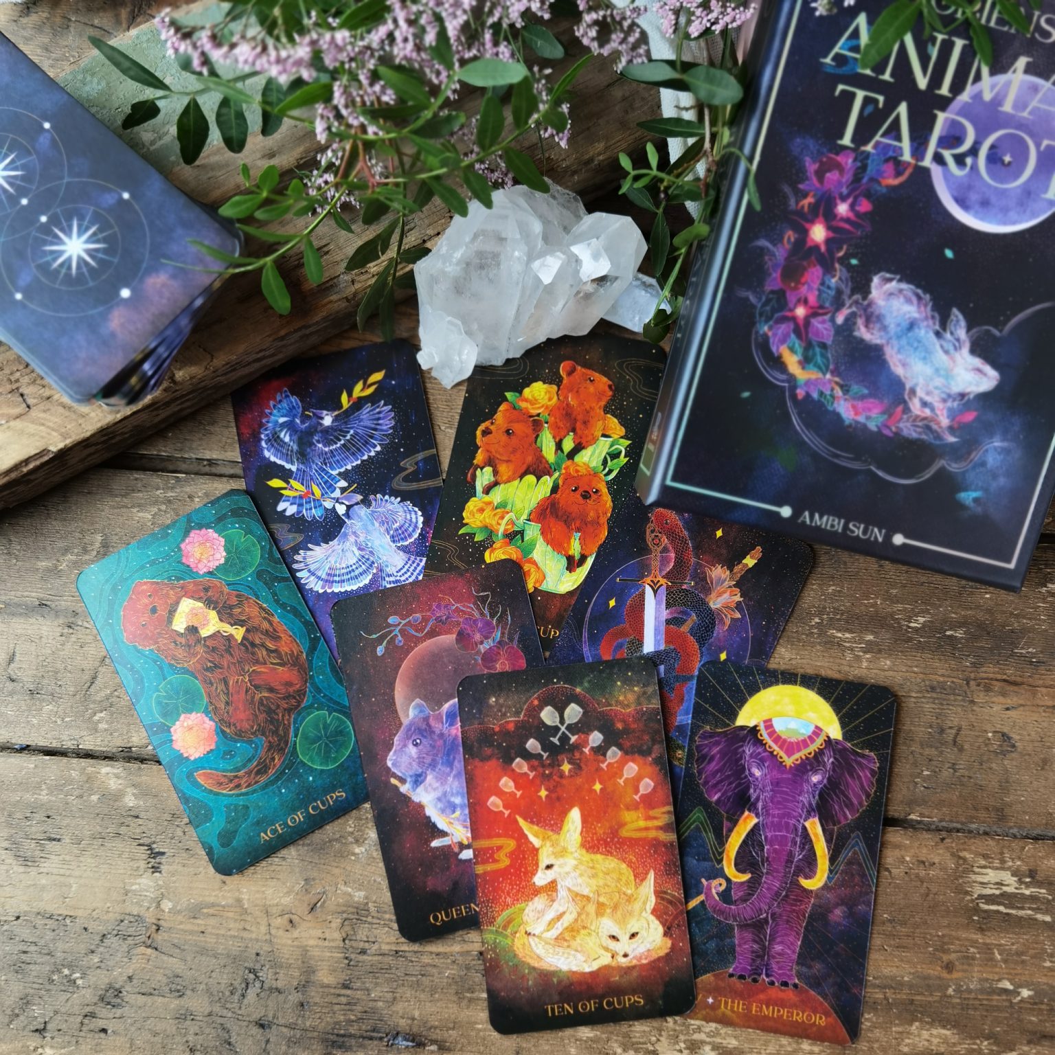 Oreilly Websitemarys Tarot Corner - eklm6nf