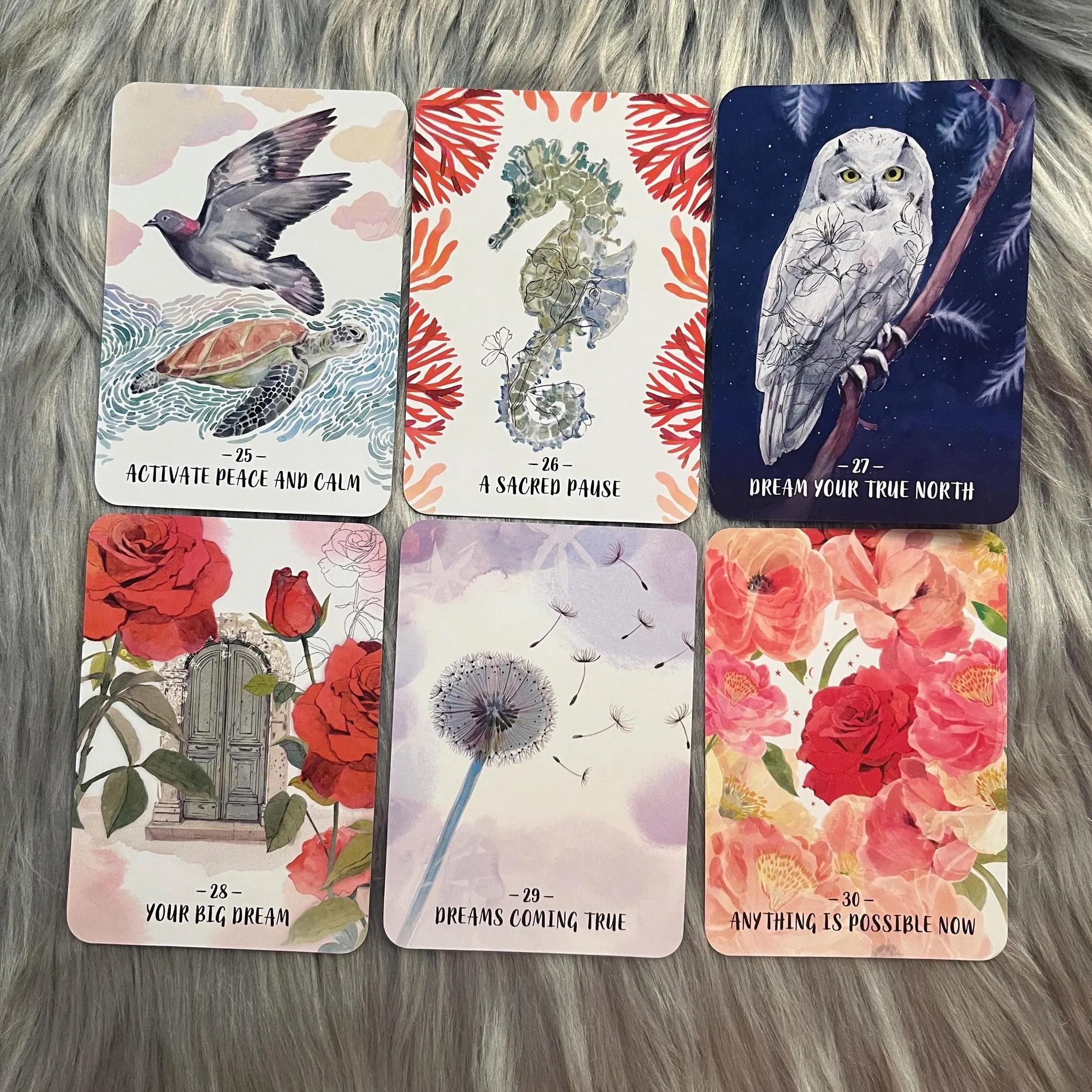 il_fullxfull.7314257862_o01p_17_11zon