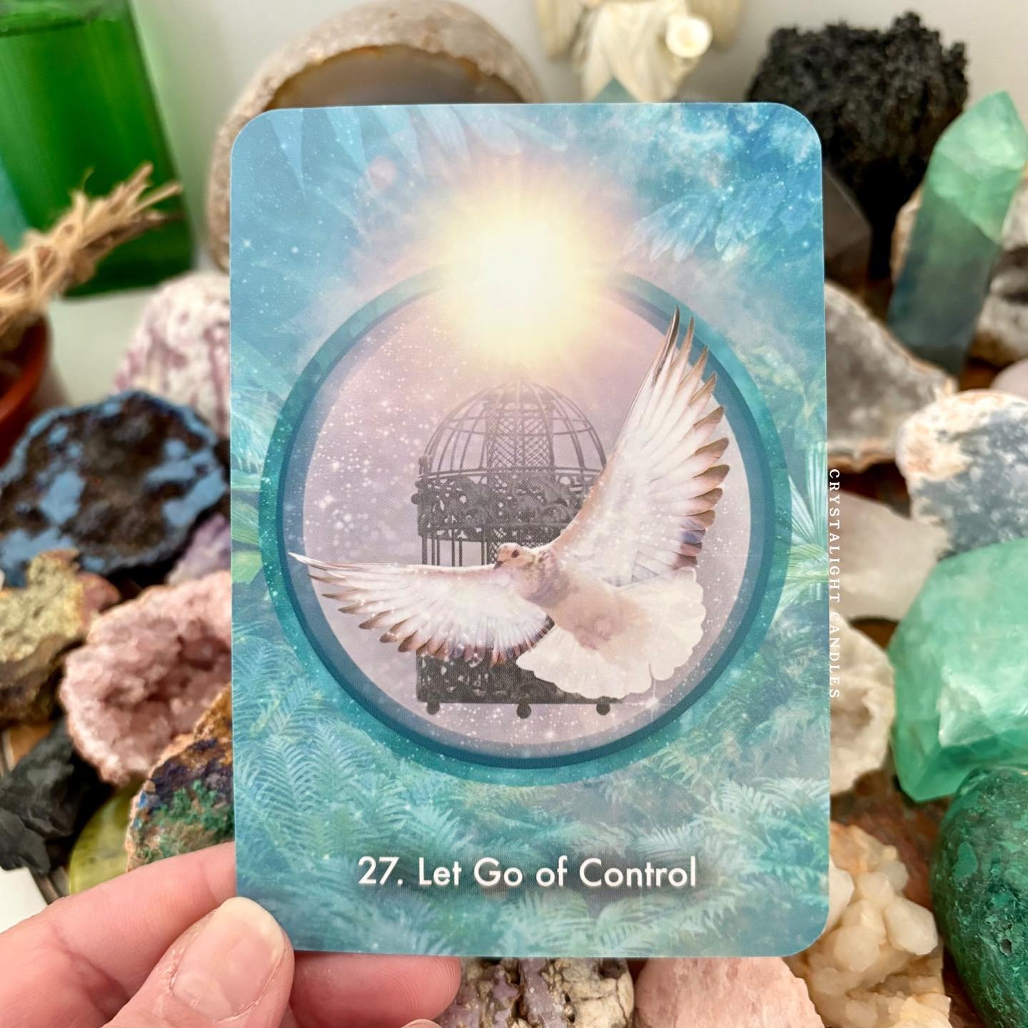 499359760_1668745300692791_1114226239870008592_n_2_11zon