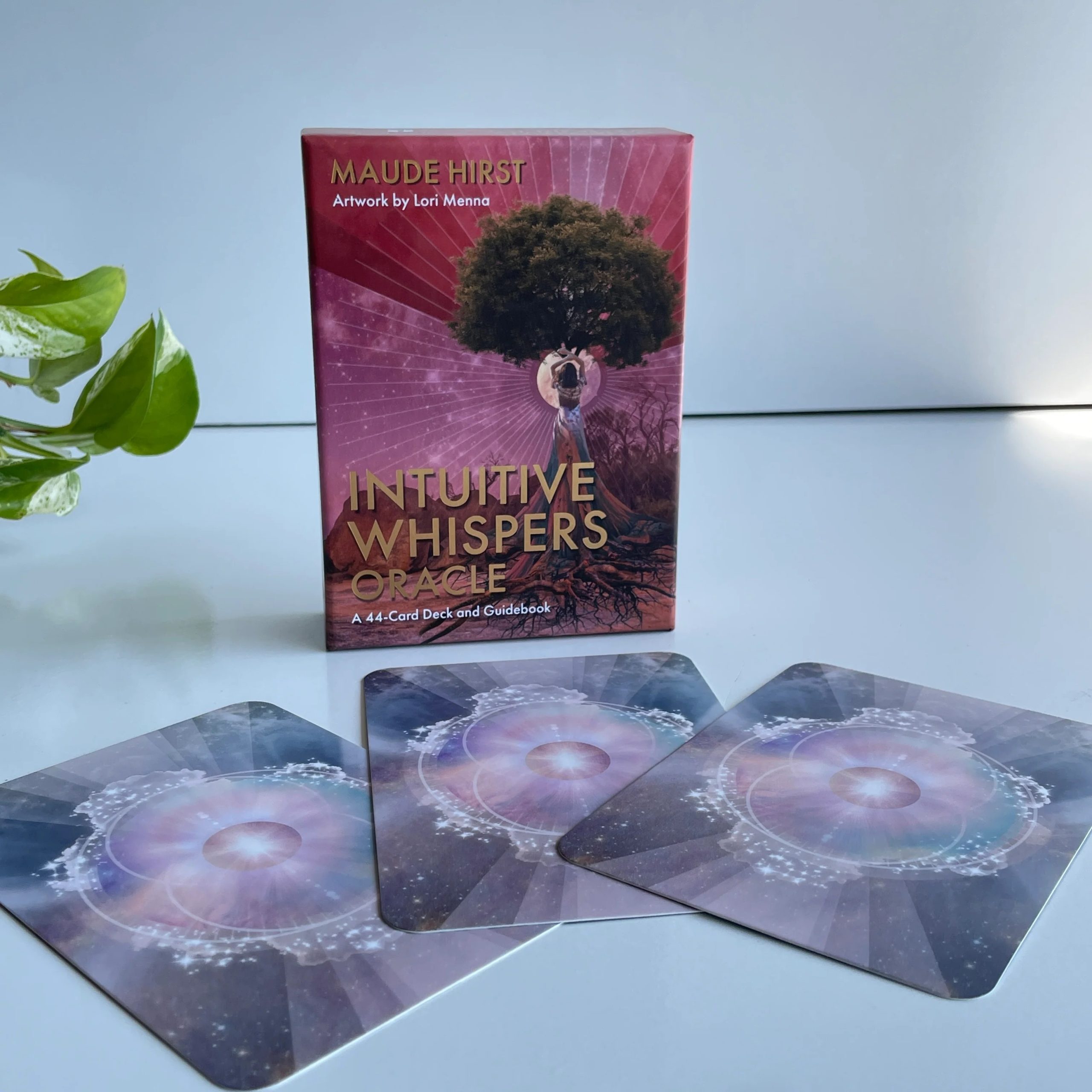 IMG_1342_21575199-f577-496a-af86-15fe1ab5b515_13_11zon