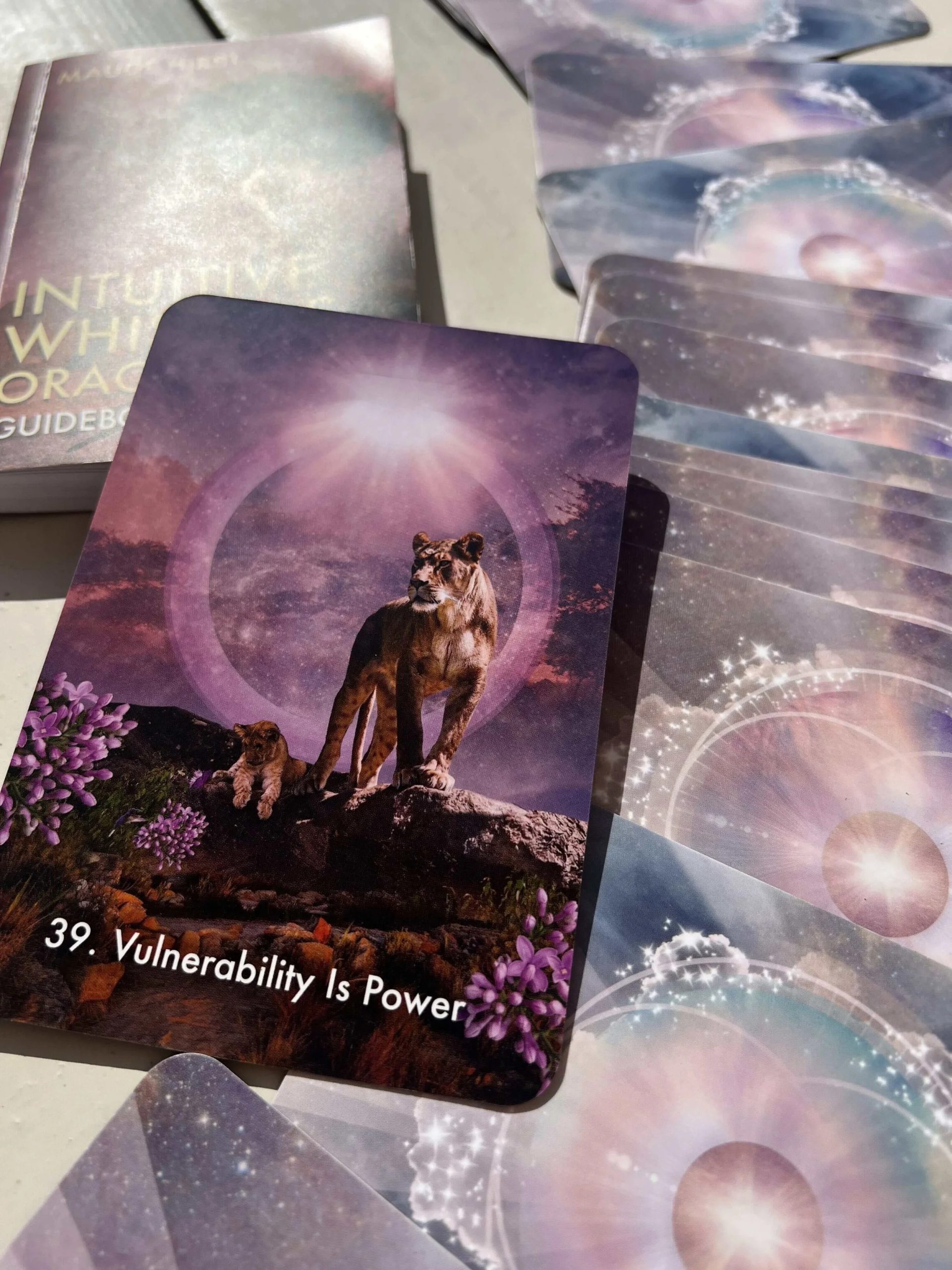 IMG_8900+(1)+(1)_16_11zon