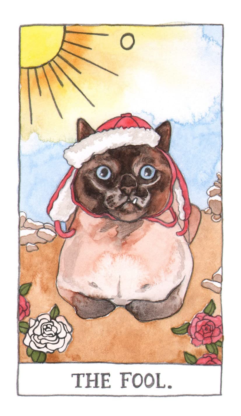 612V54WgWrL._SL1426__10_11zon