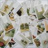 Red Owl Lenormand