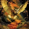 Mystical Garden Oracle