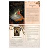 Seasons of the Witch Autumn Tarot